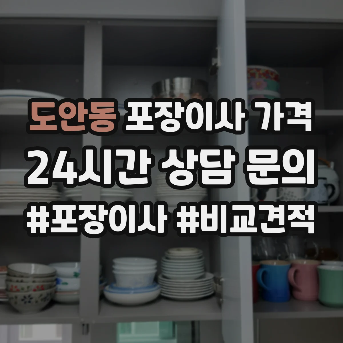 도안동 포장이사 가격
