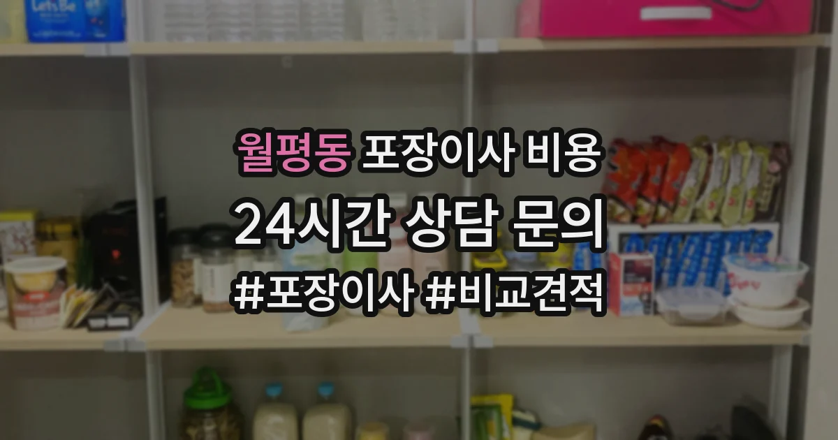 월평동 포장이사 비용