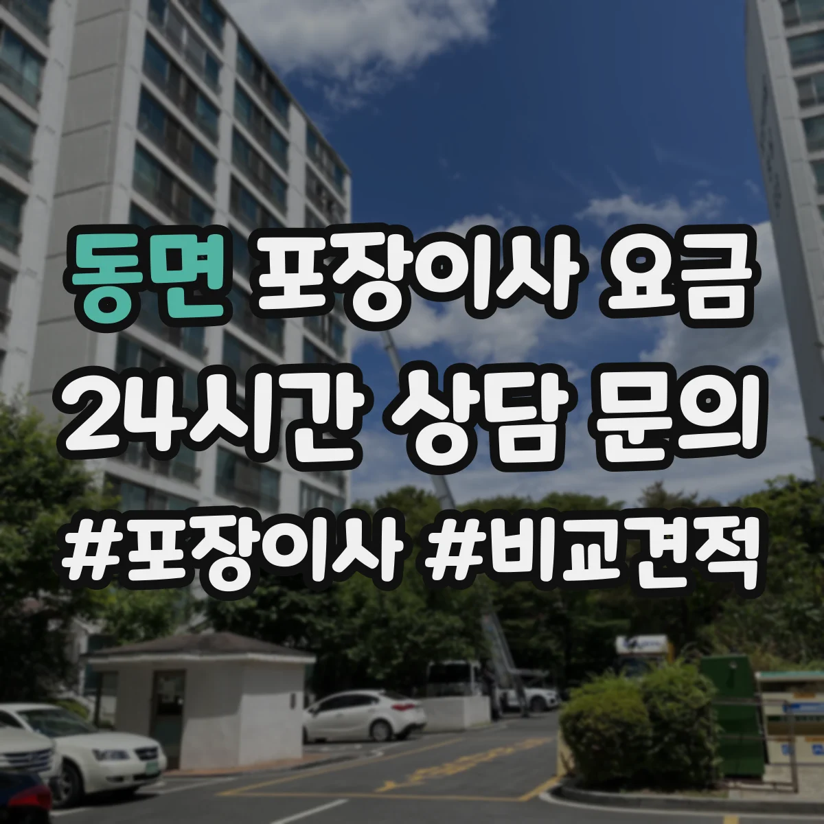 동면 포장이사 요금