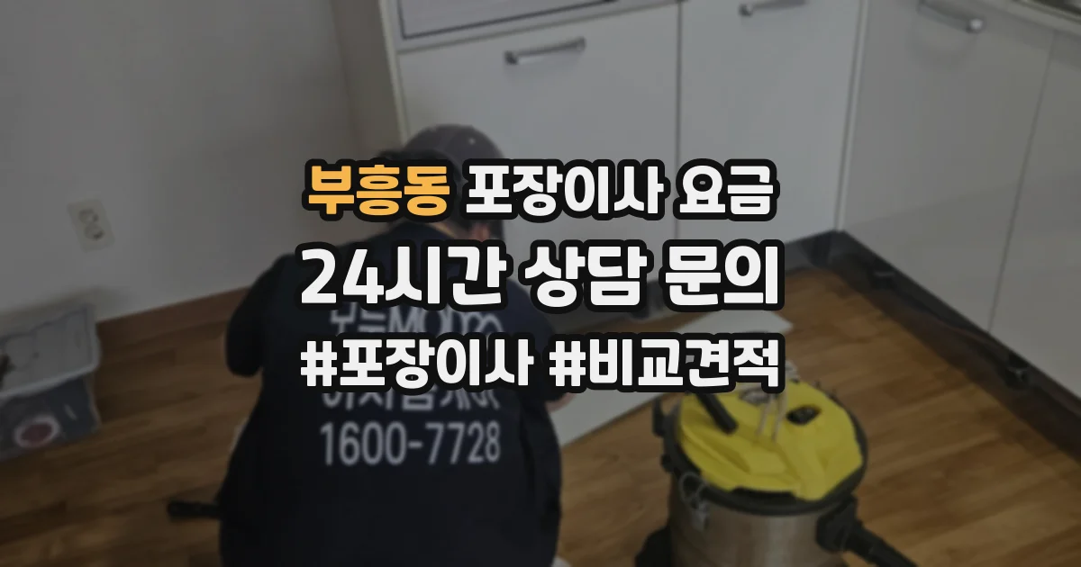 부흥동 포장이사 요금