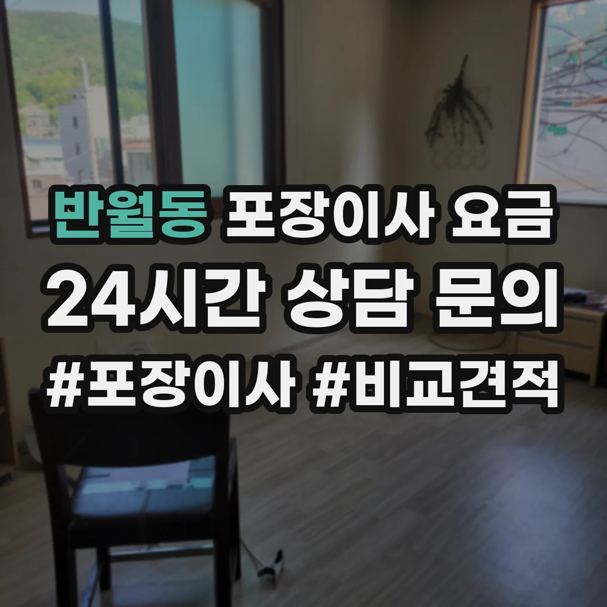 반월동 포장이사 요금