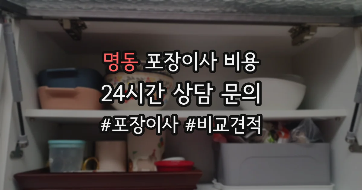 명동 포장이사 비용