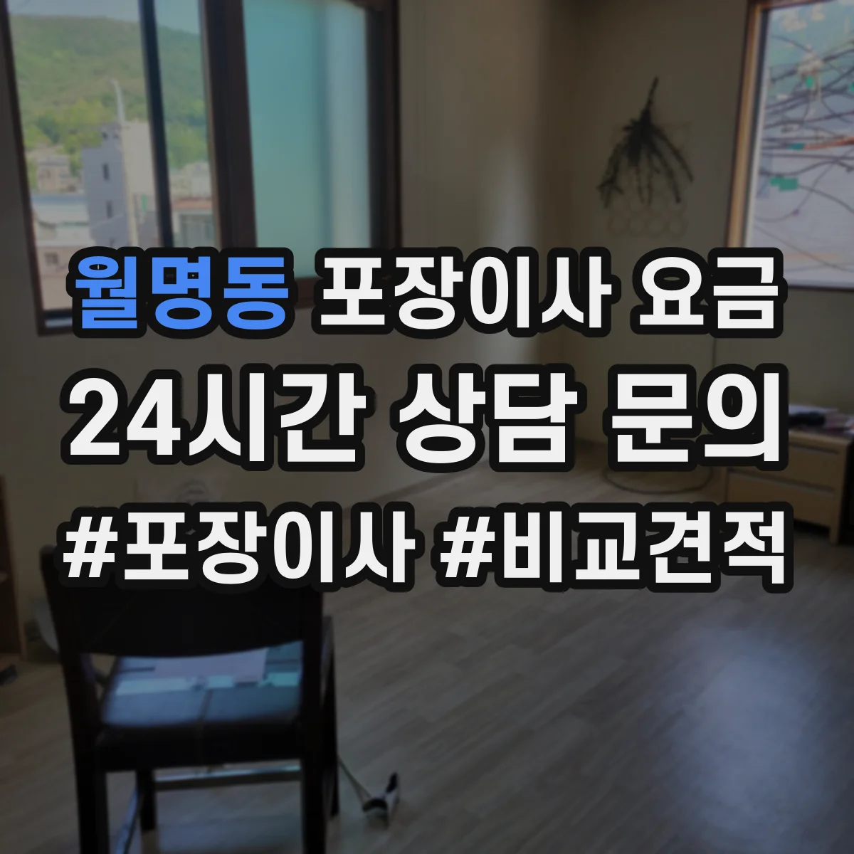 월명동 포장이사 요금