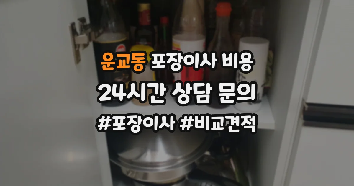 운교동 포장이사 비용