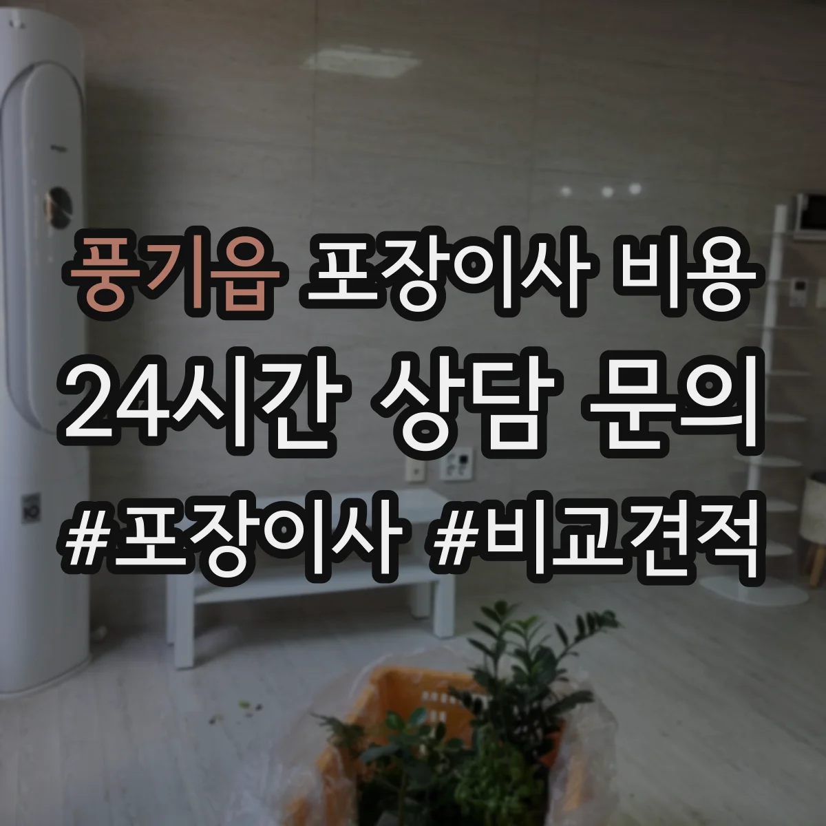 풍기읍 포장이사 비용