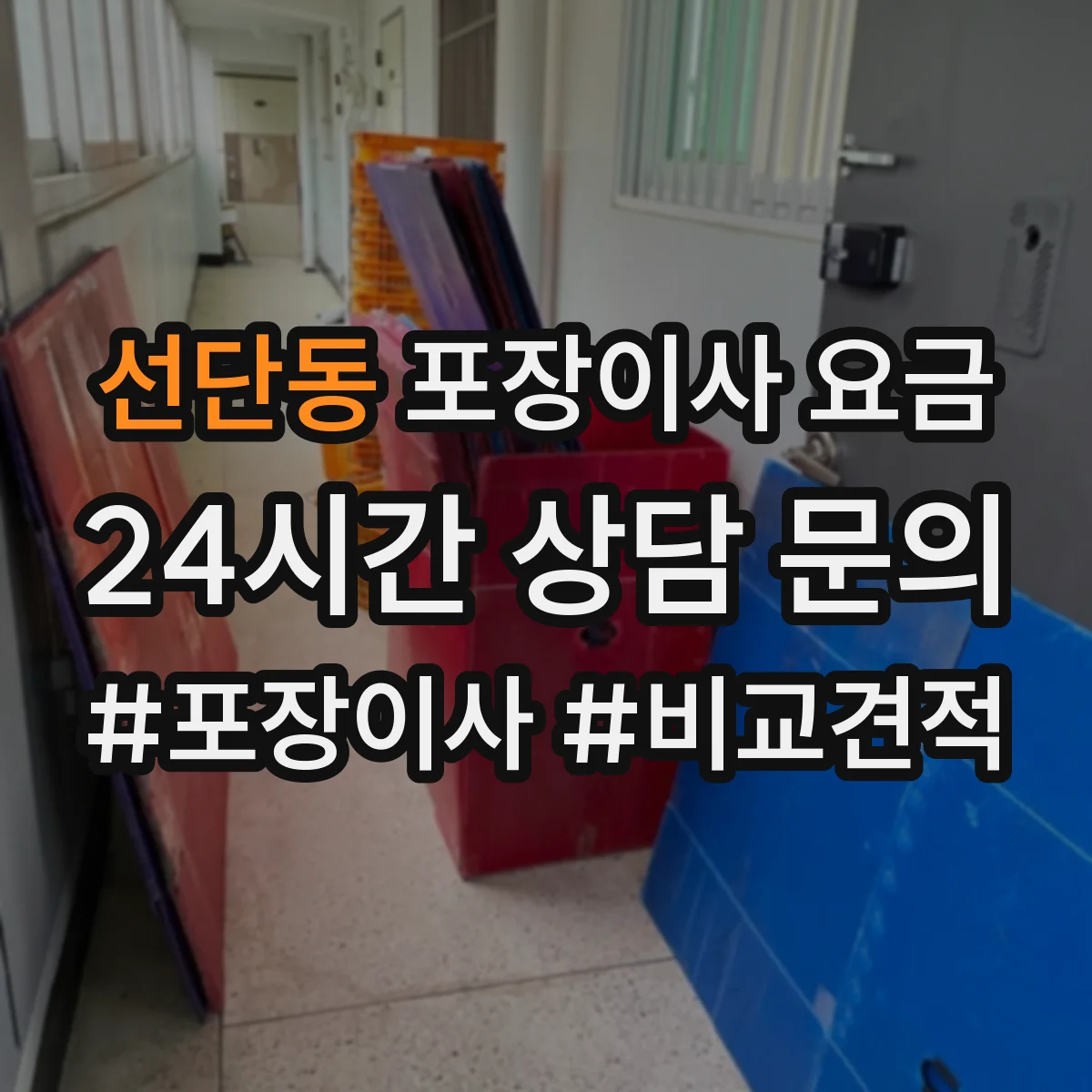 선단동 포장이사 요금