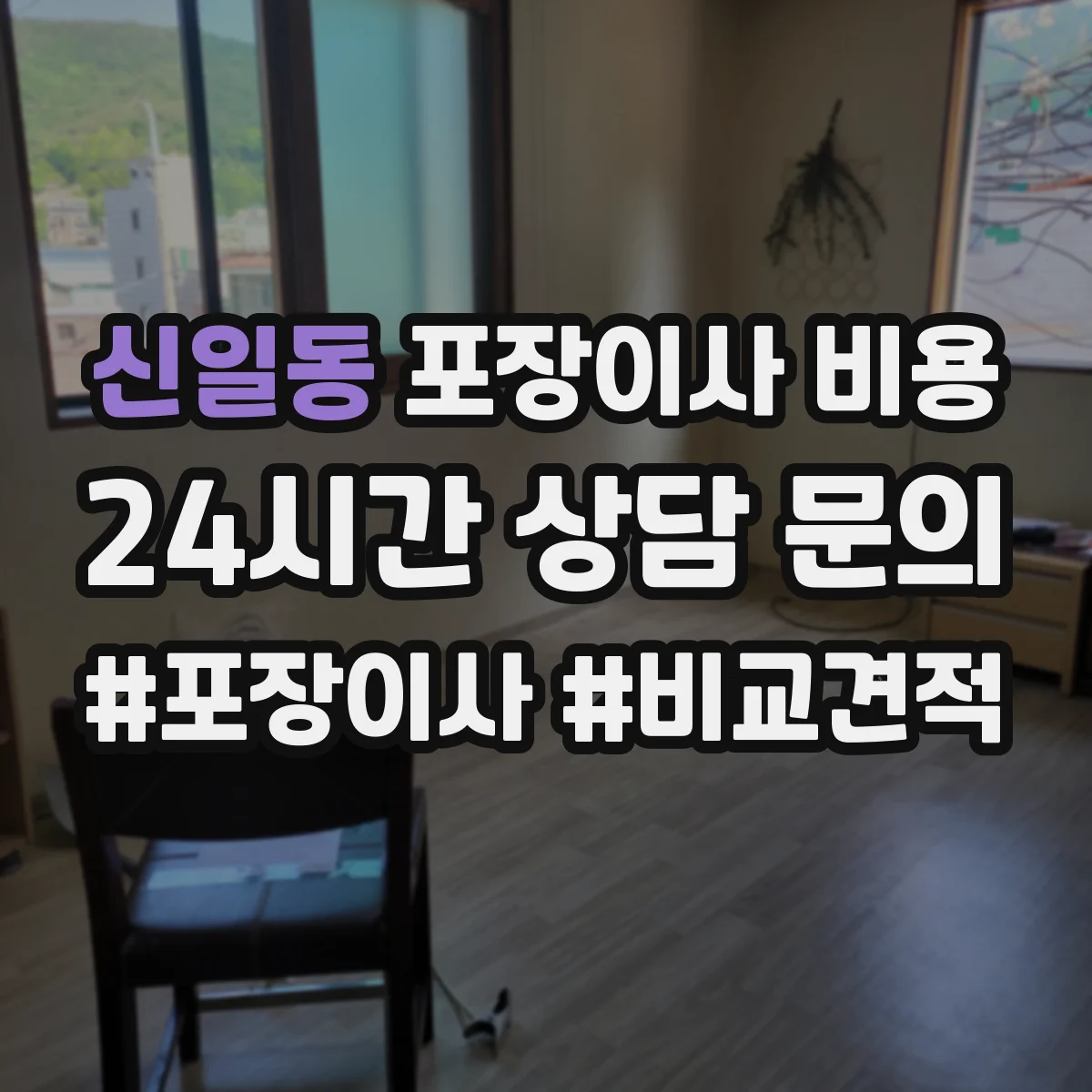 신일동 포장이사 비용