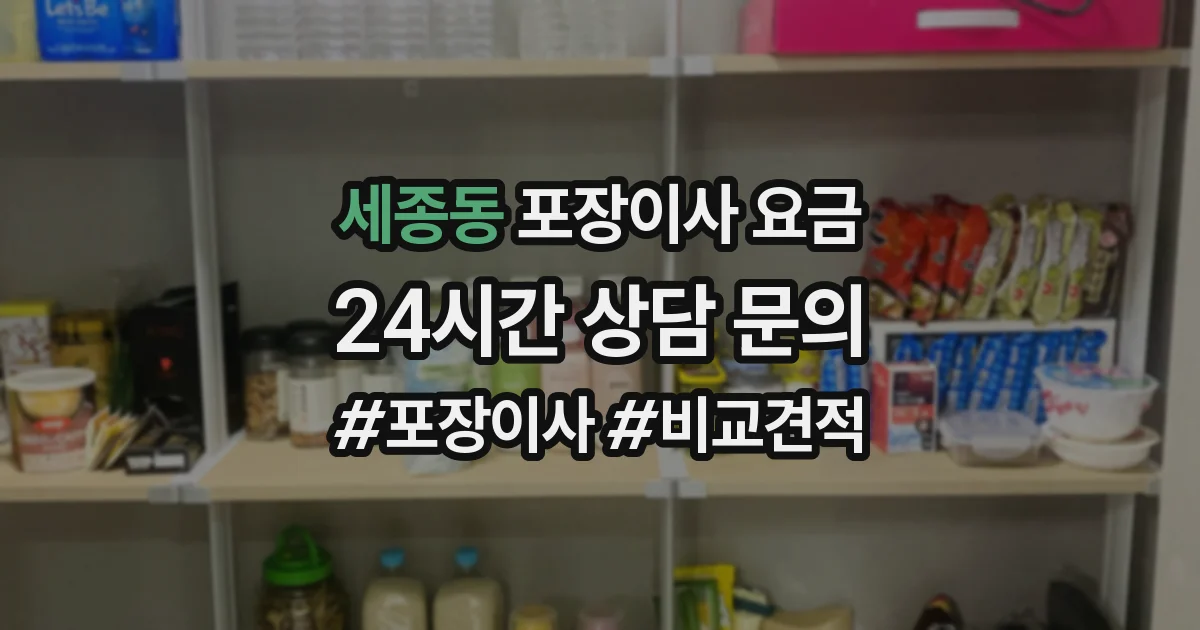 세종동 포장이사 요금