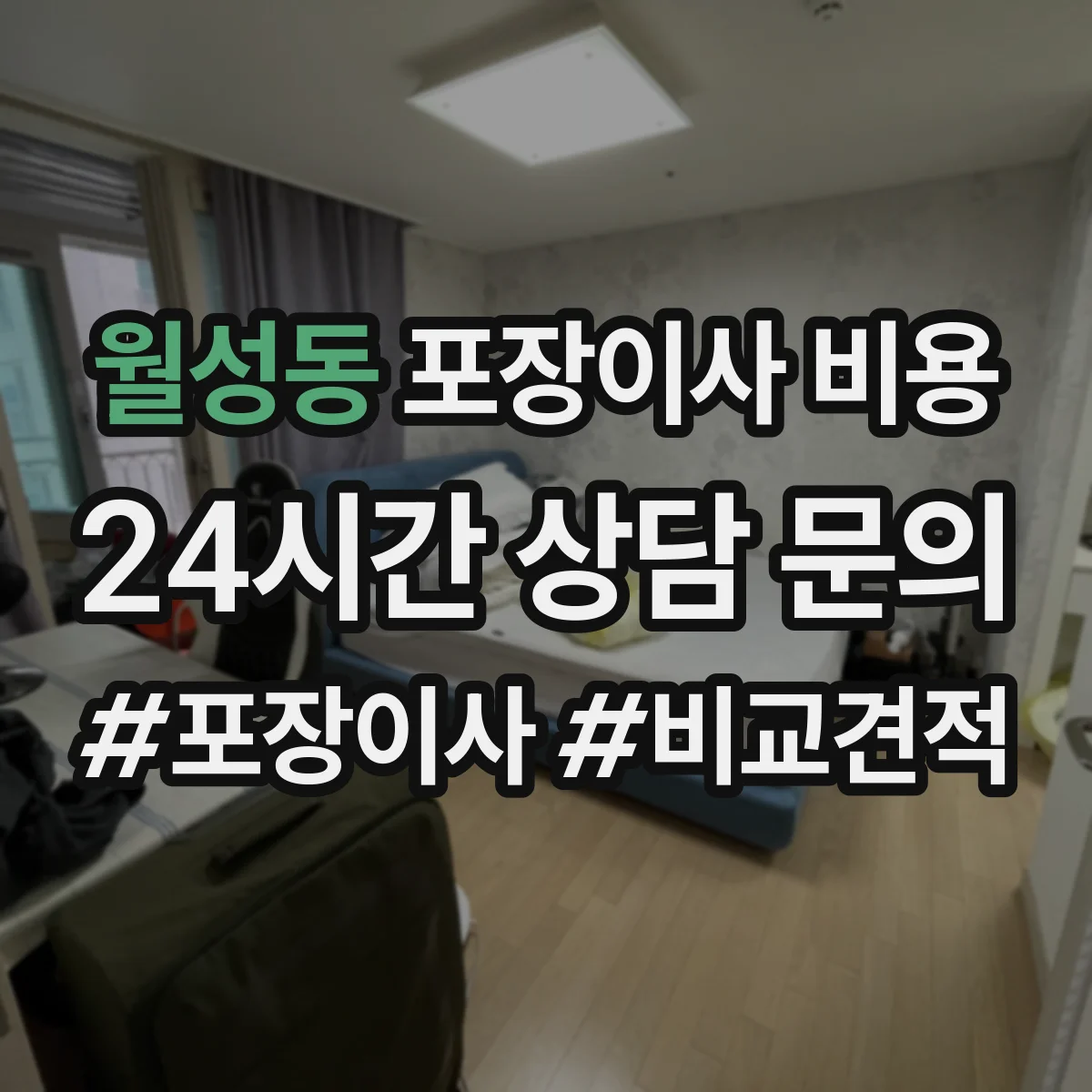 월성동 포장이사 비용