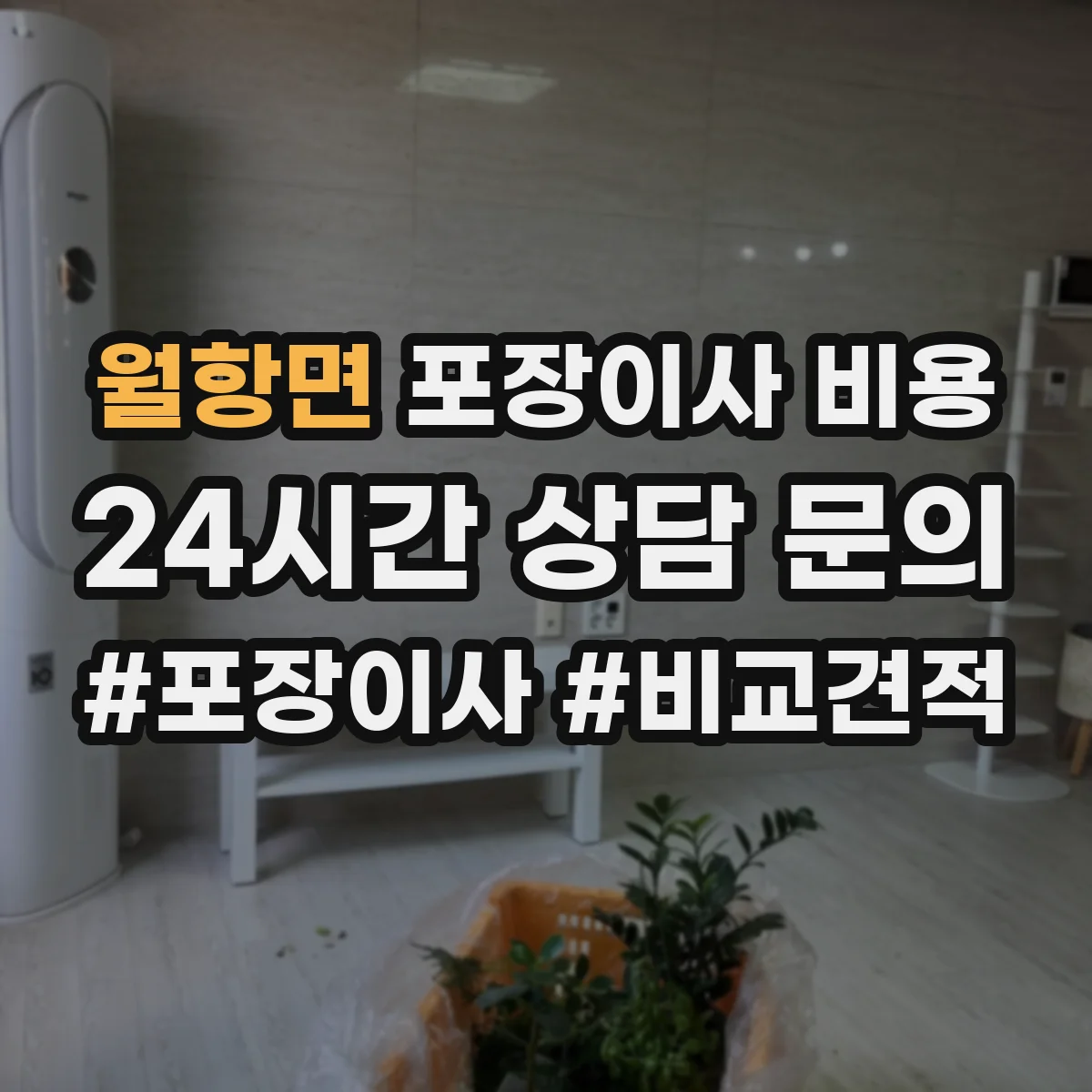월항면 포장이사 비용