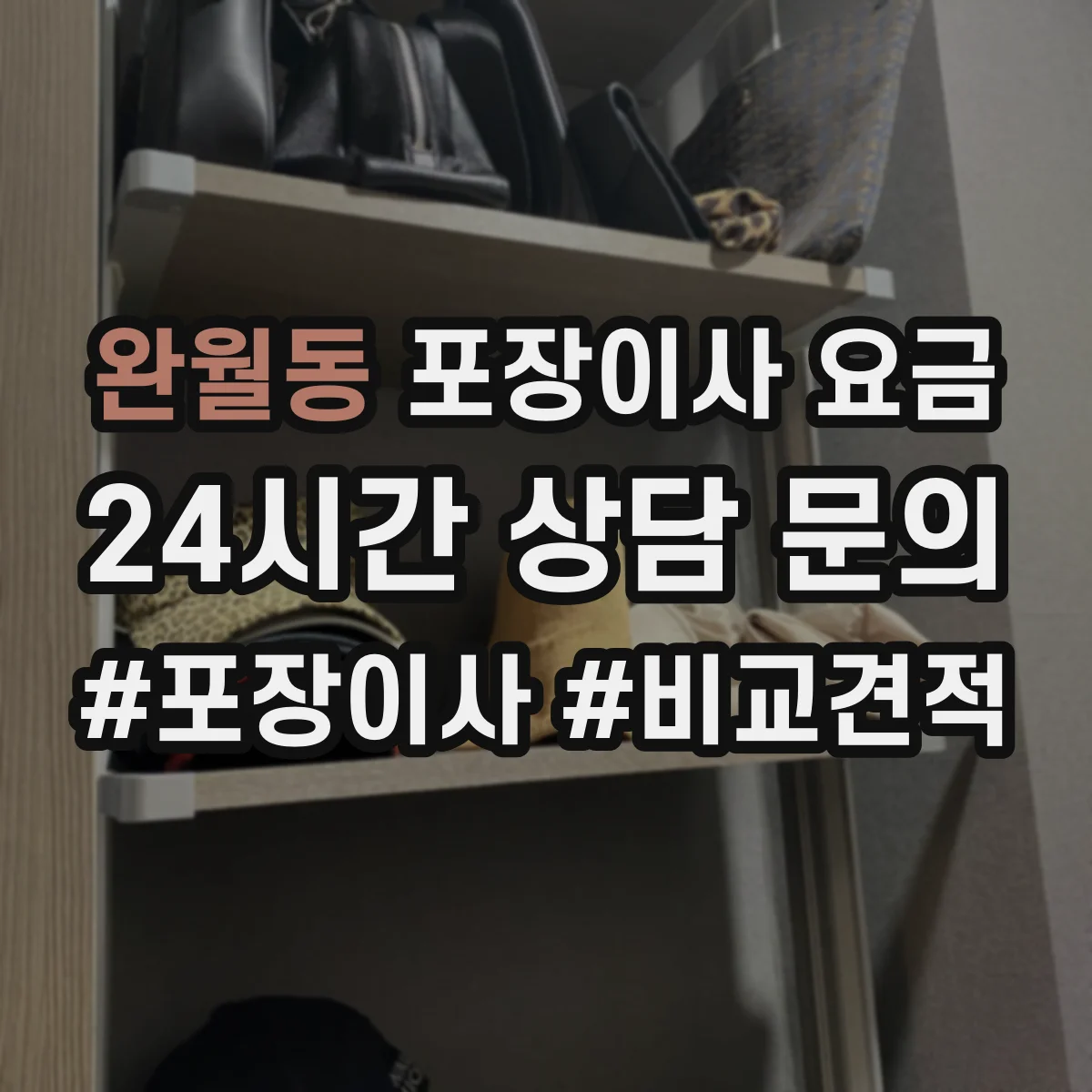 완월동 포장이사 요금