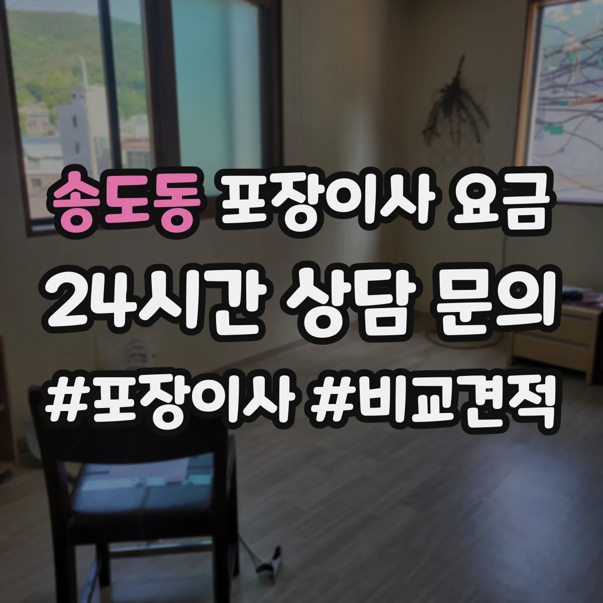 송도동 포장이사 요금