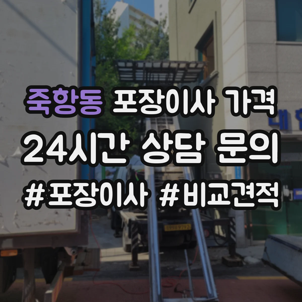 죽항동 포장이사 가격