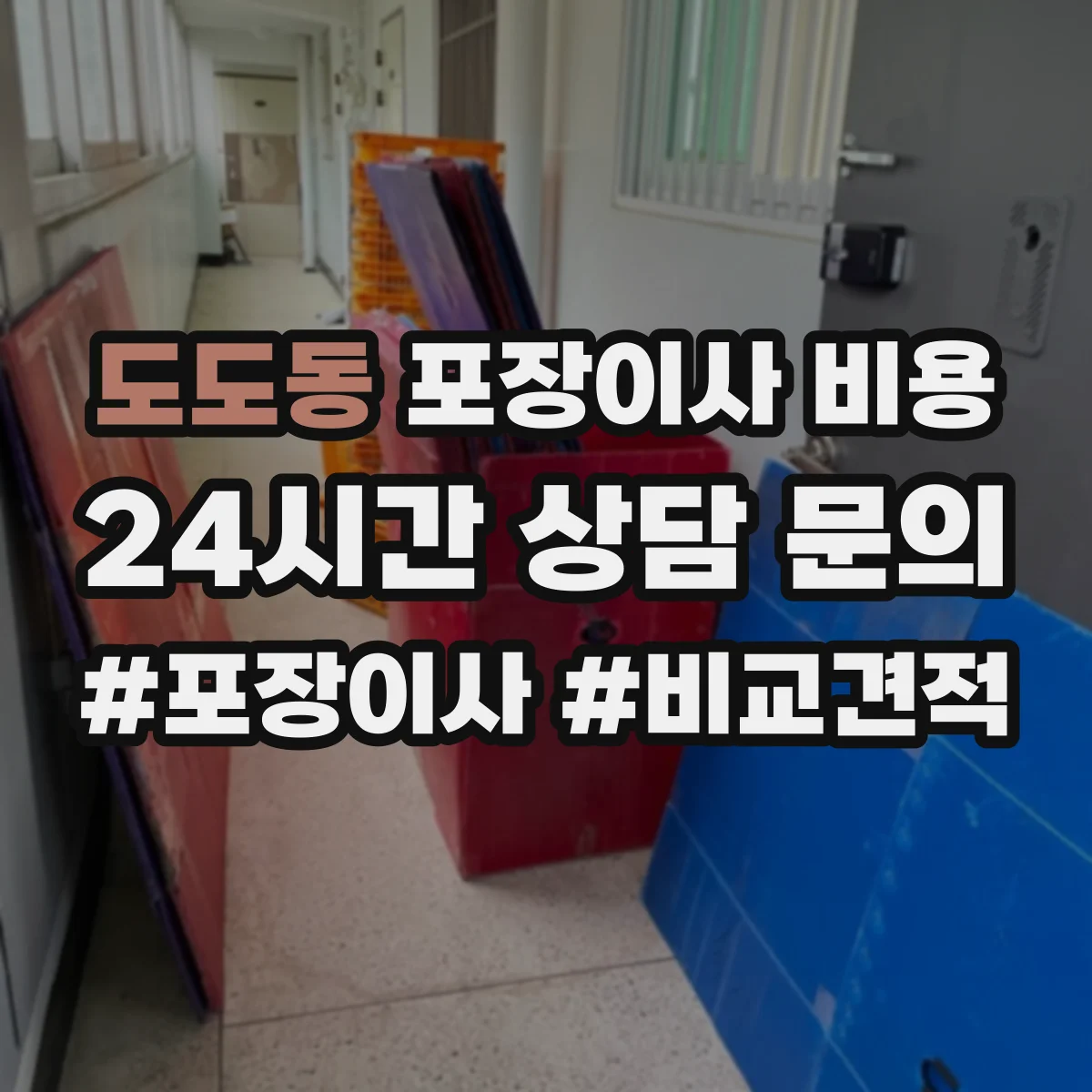 도도동 포장이사 비용