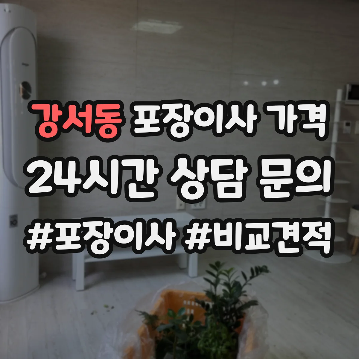 강서동 포장이사 가격