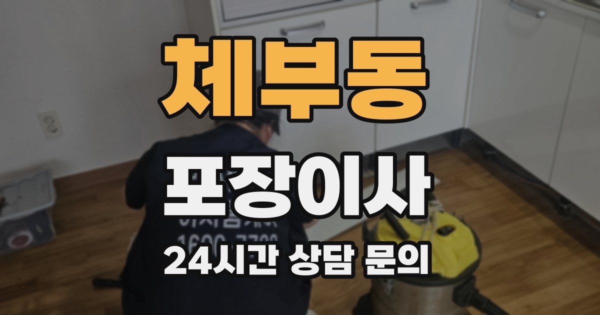 체부동 포장이사