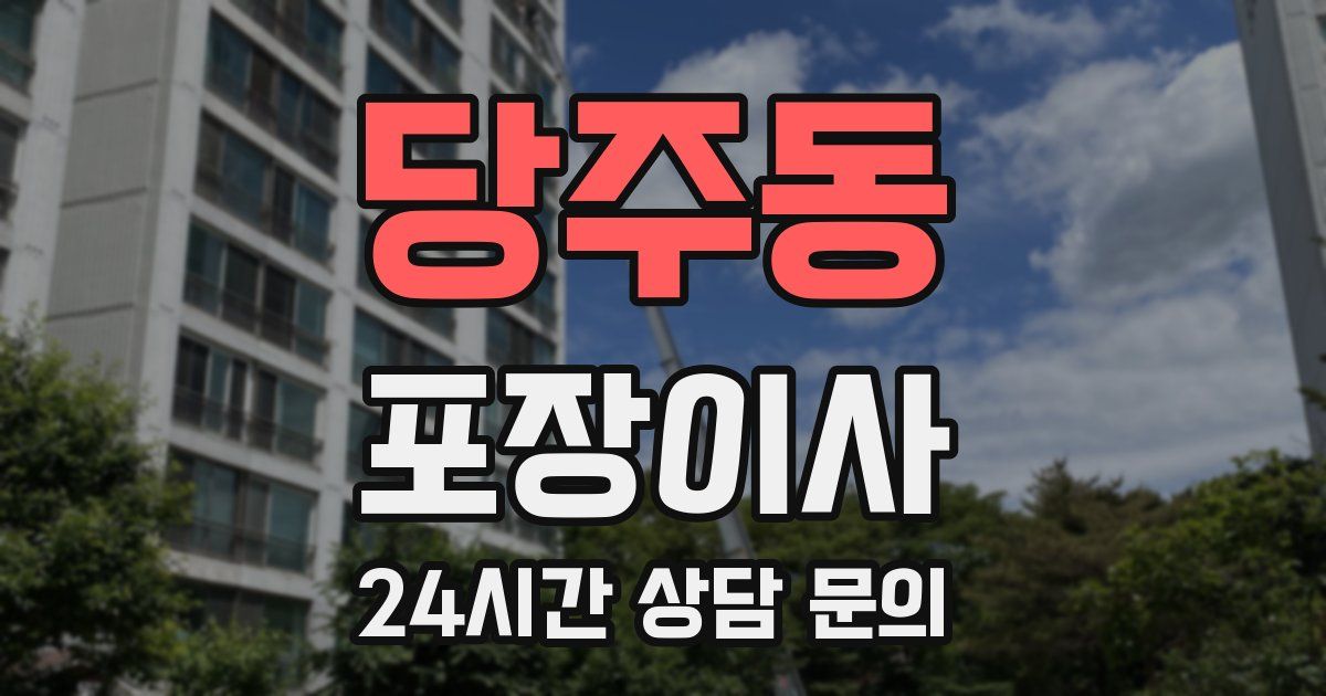 당주동 포장이사