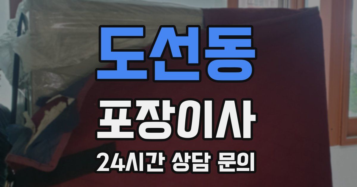도선동 포장이사
