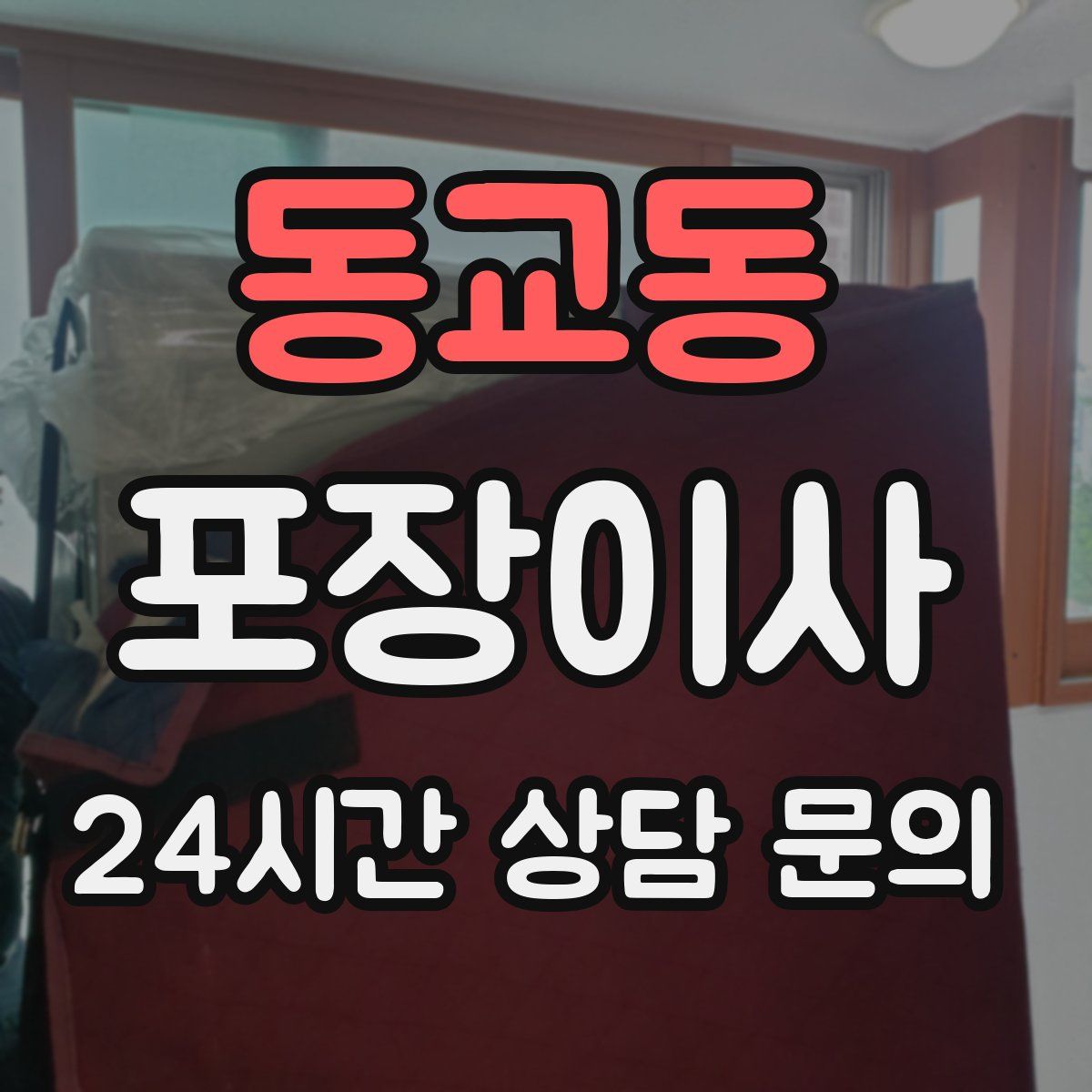 동교동 포장이사