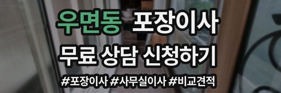 우면동 포장이사