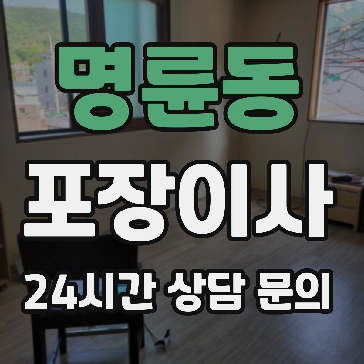 명륜동 포장이사 반려동물 이동은 이렇게 준비하면 편하다