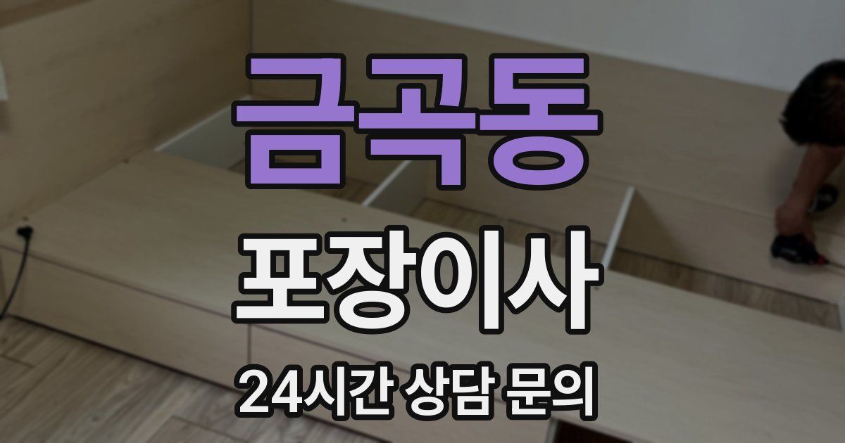 금곡동 포장이사