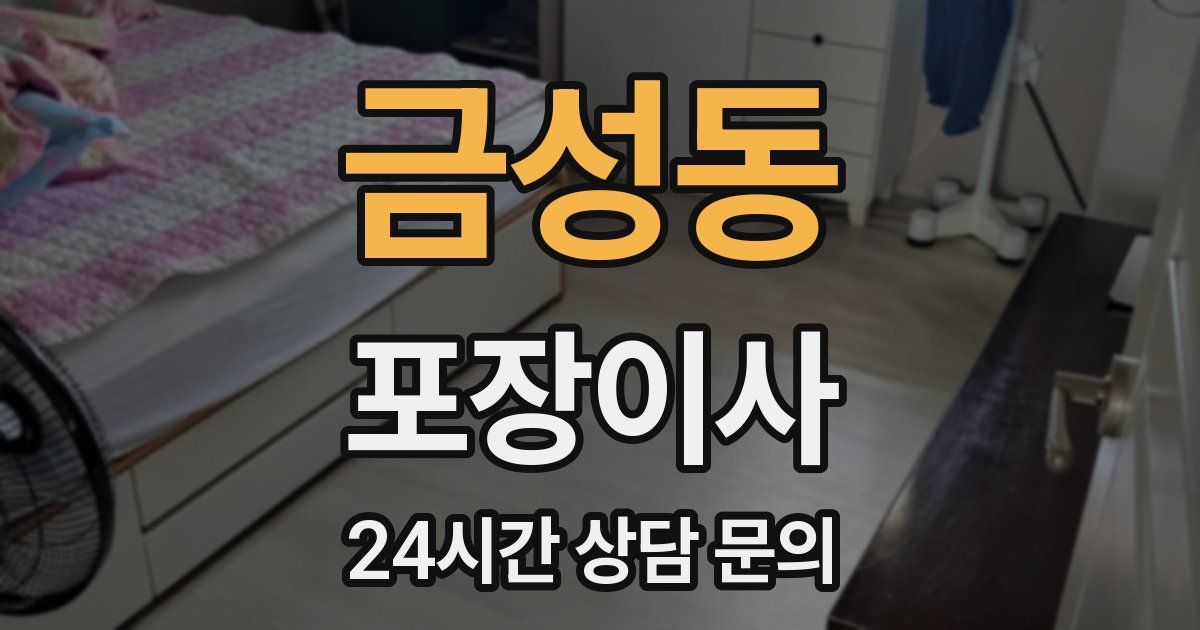 금성동 포장이사