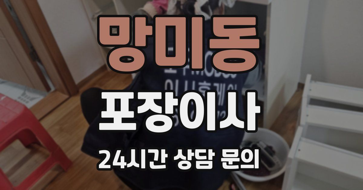 망미동 포장이사