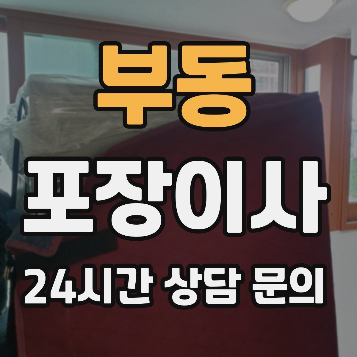 부동 포장이사 반려동물 이동은 이렇게 준비하면 편하다