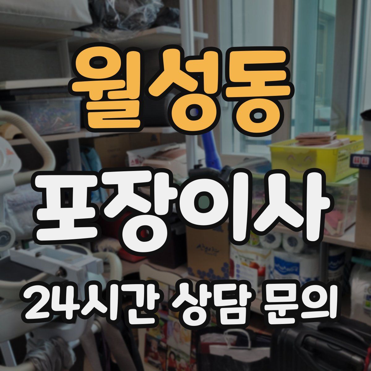 월성동 포장이사