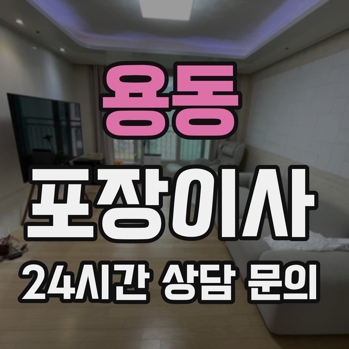 용동 포장이사 어항 있는 집 이사에서 놓치기 쉬운 포인트