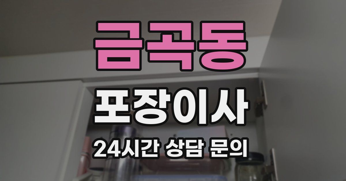 금곡동 포장이사