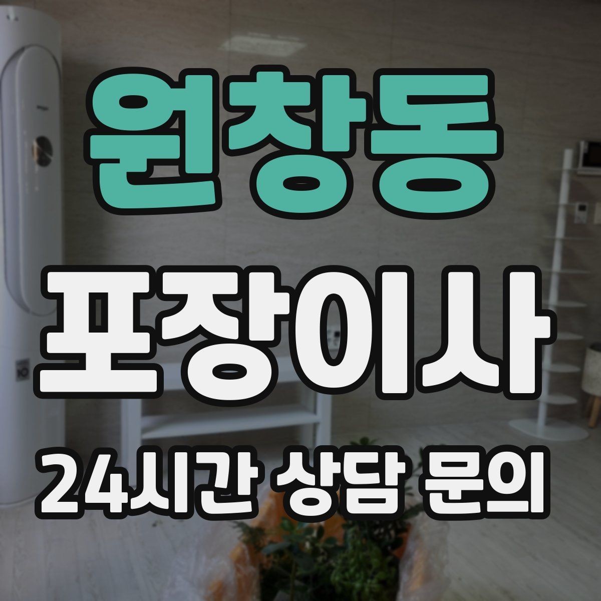 원창동 포장이사 화분이 많은 집은 이동 방법이 따로 필요하다