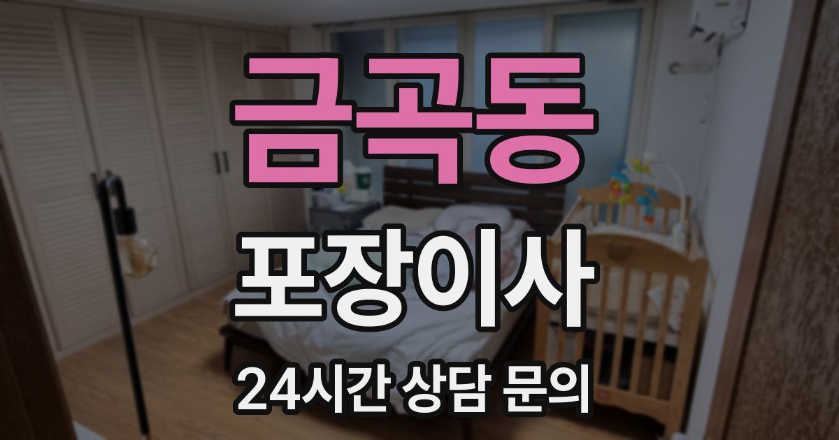 금곡동 포장이사