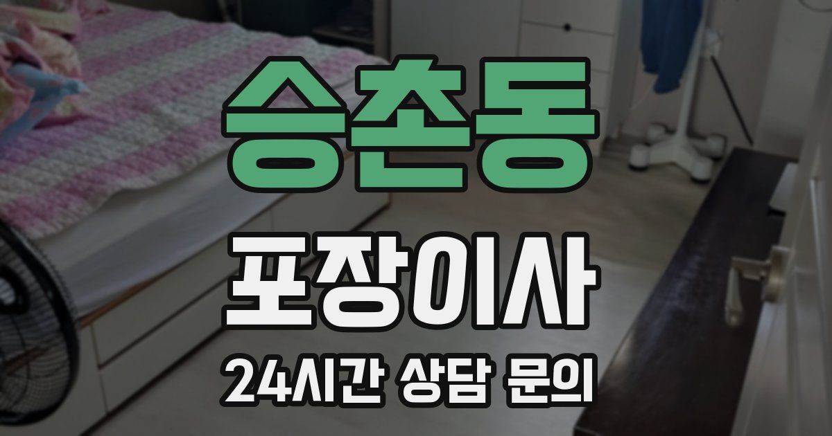 승촌동 포장이사