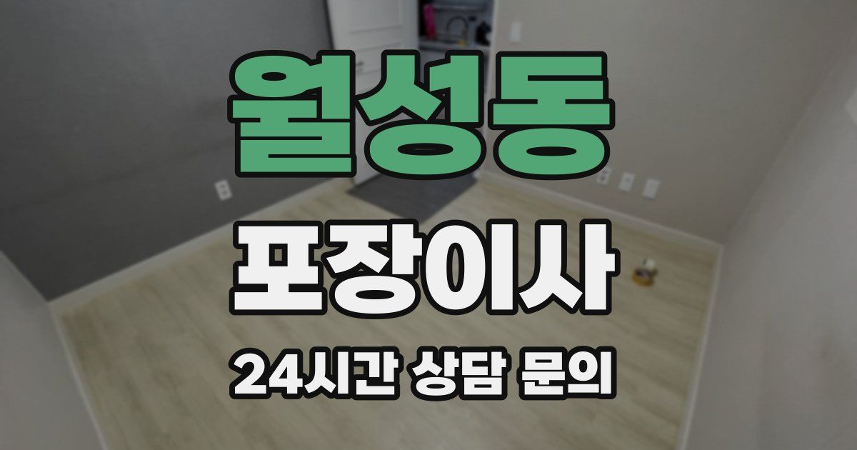 월성동 포장이사