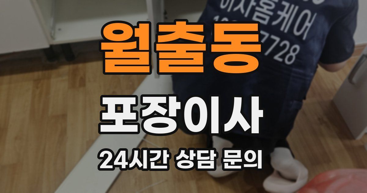 월출동 포장이사