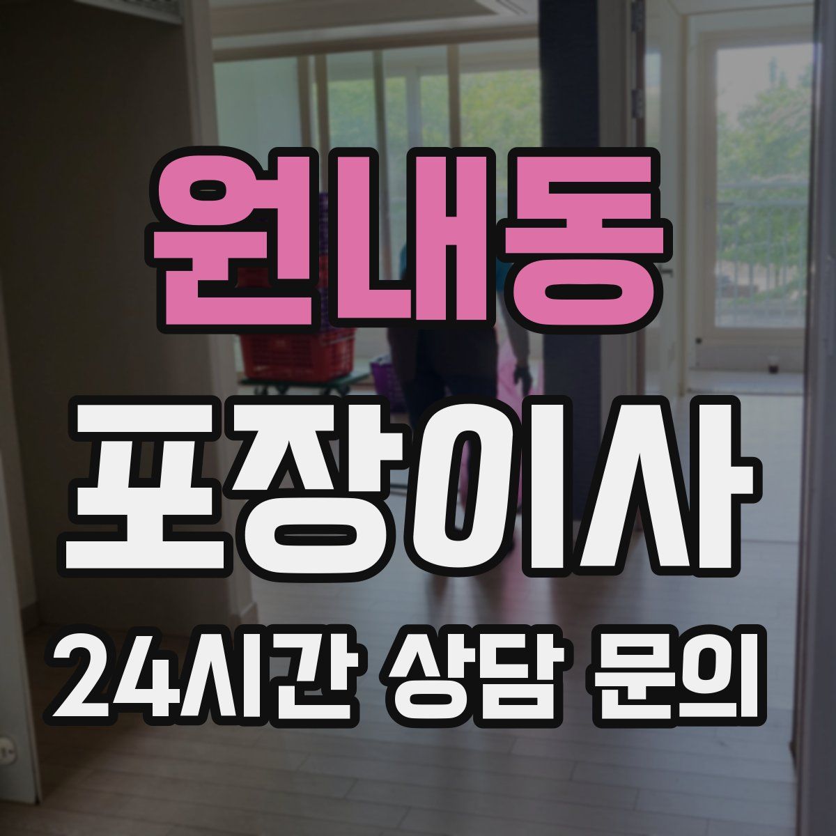 원내동 포장이사