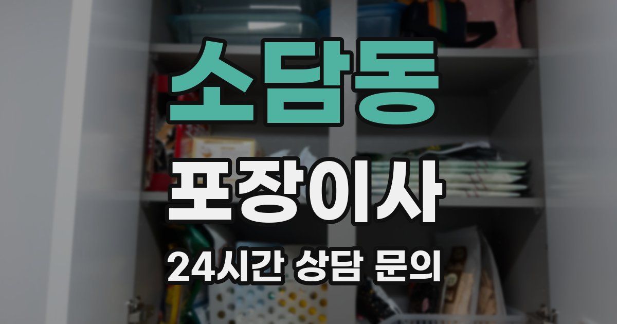 소담동 포장이사