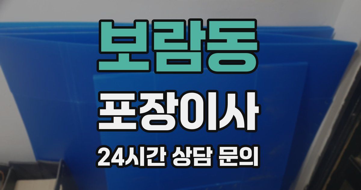 보람동 포장이사