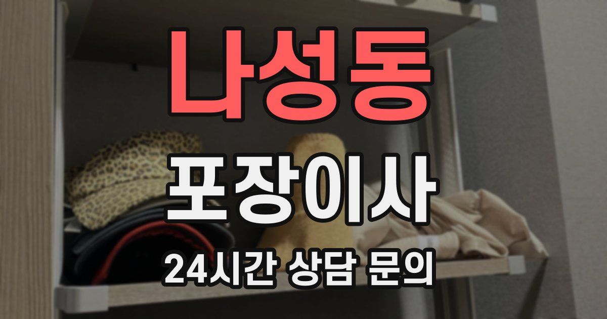 나성동 포장이사