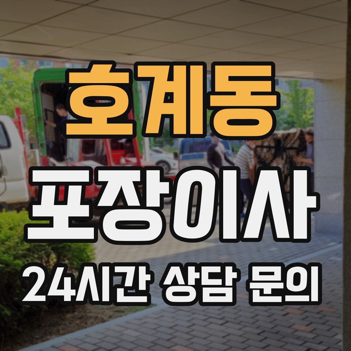 호계동 포장이사