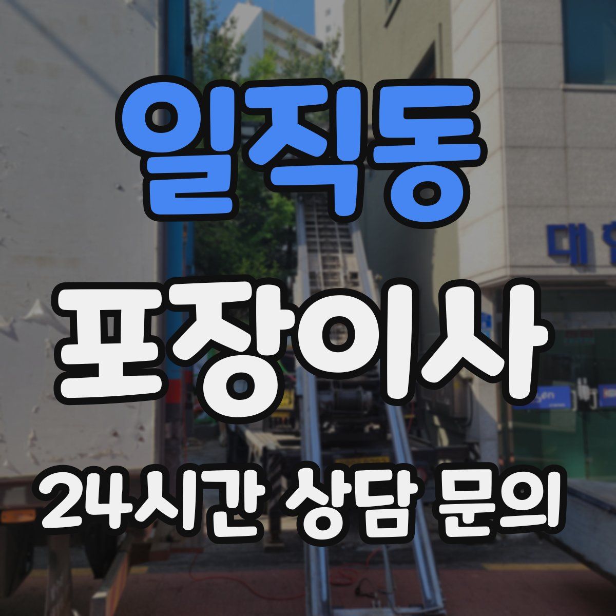 일직동 포장이사