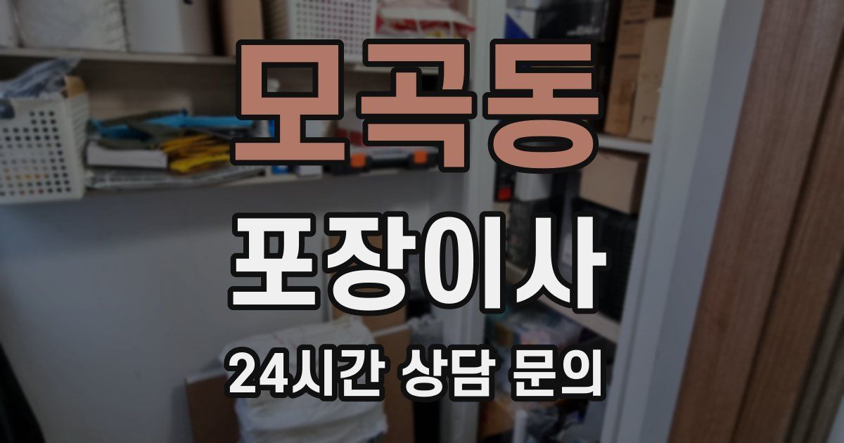 모곡동 포장이사