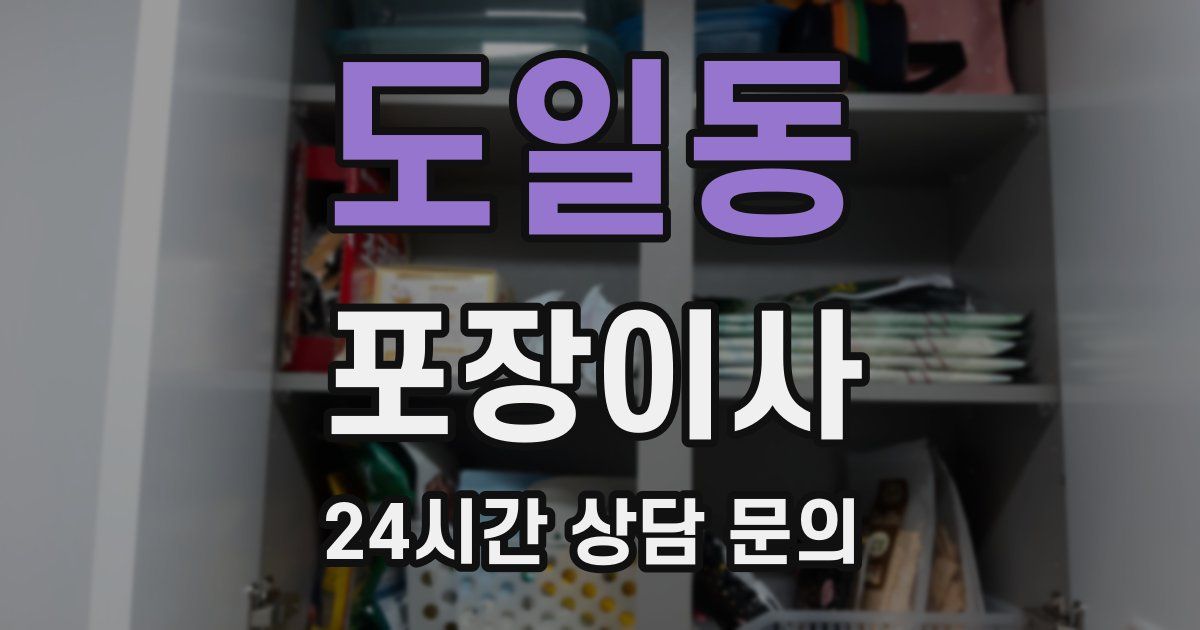 도일동 포장이사