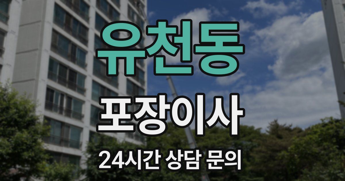 유천동 포장이사
