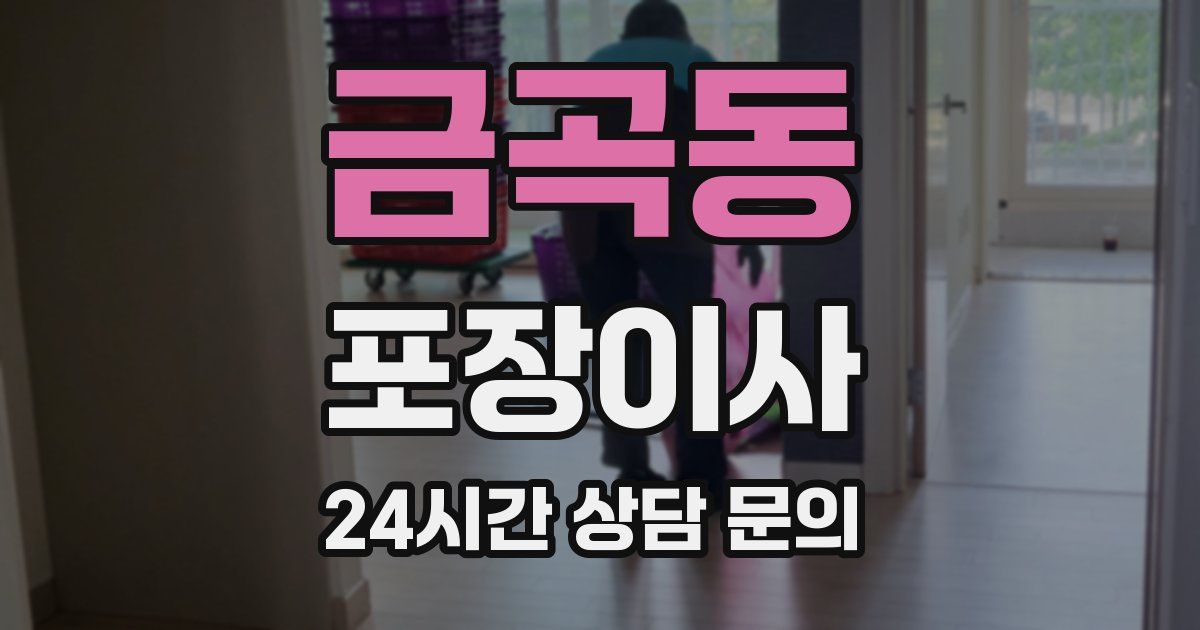 금곡동 포장이사