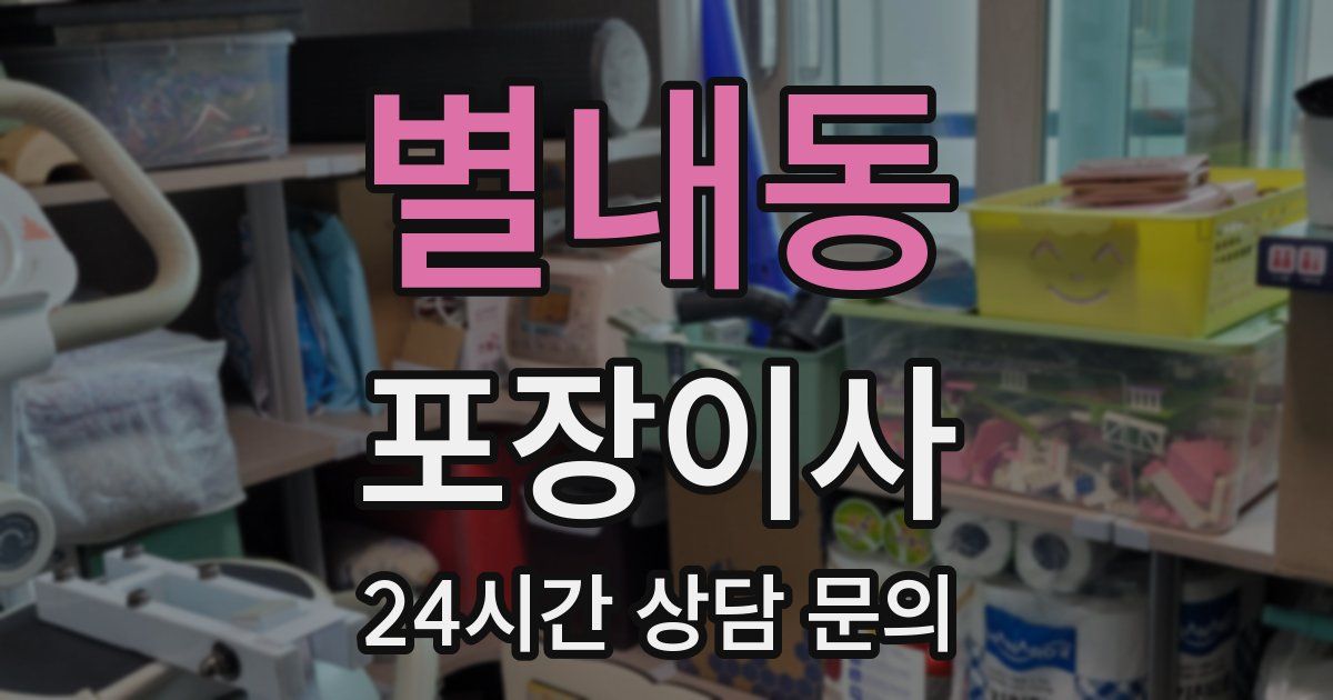 별내동 포장이사