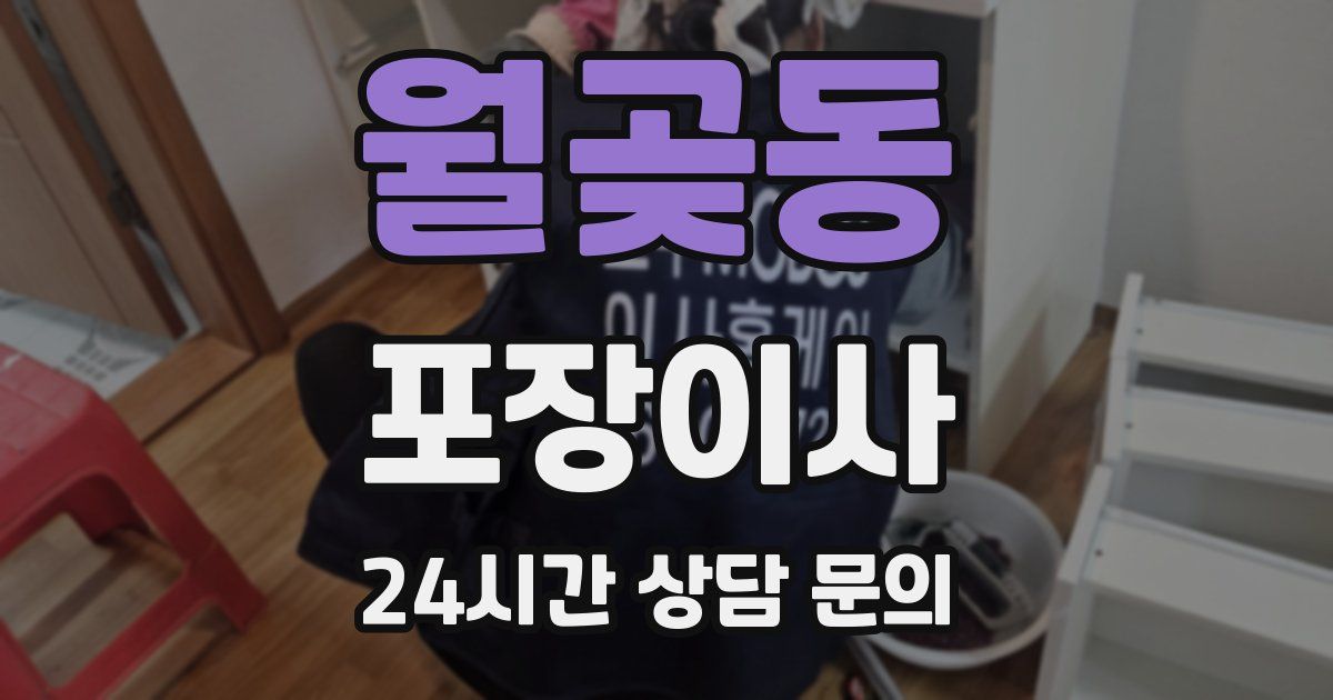 월곶동 포장이사