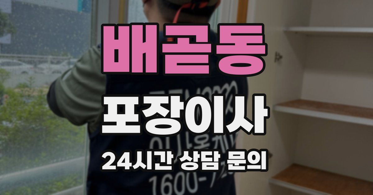 배곧동 포장이사